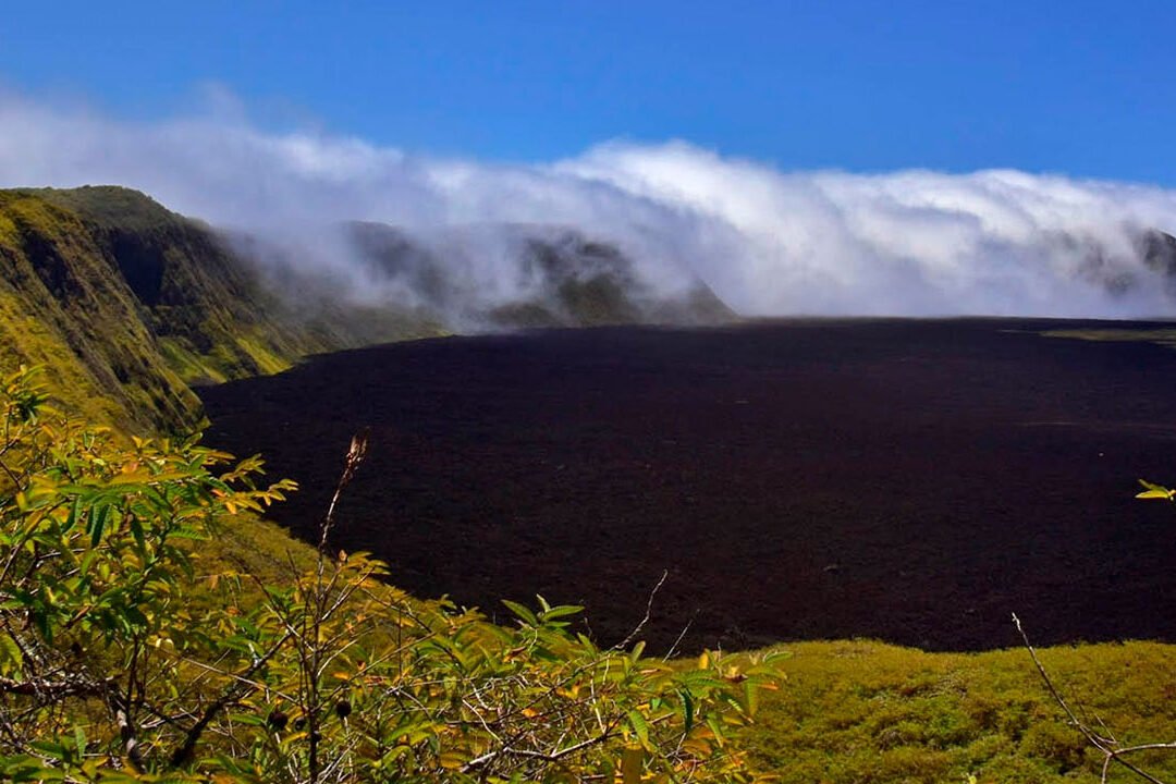 VOLCAN-SIERRA-NEGRA