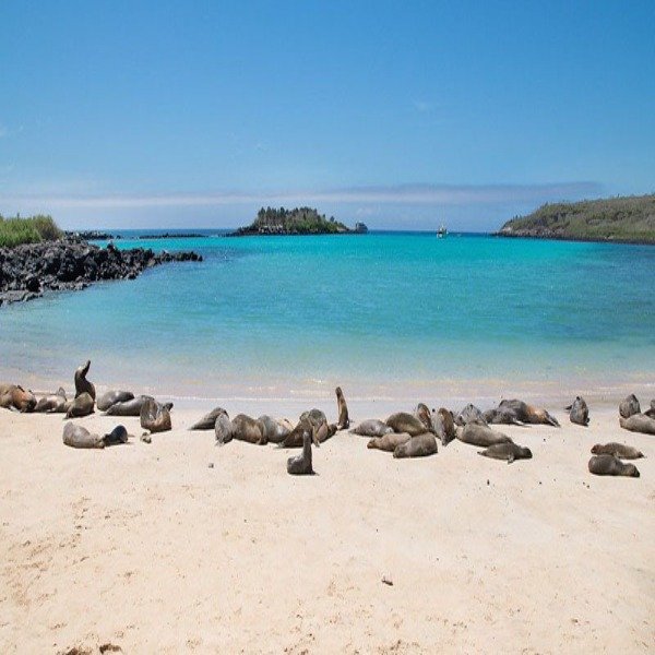 UNADJUSTEDNONRAW thumb cc convertido a 600x600 1