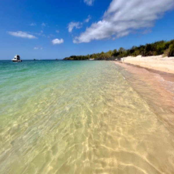 UNADJUSTEDNONRAW thumb e9 convertido a 600x600 1