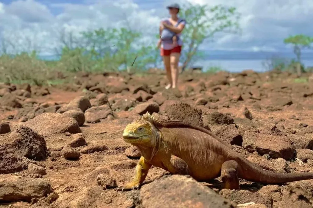 0003 SEYMOUR 1080x720 1