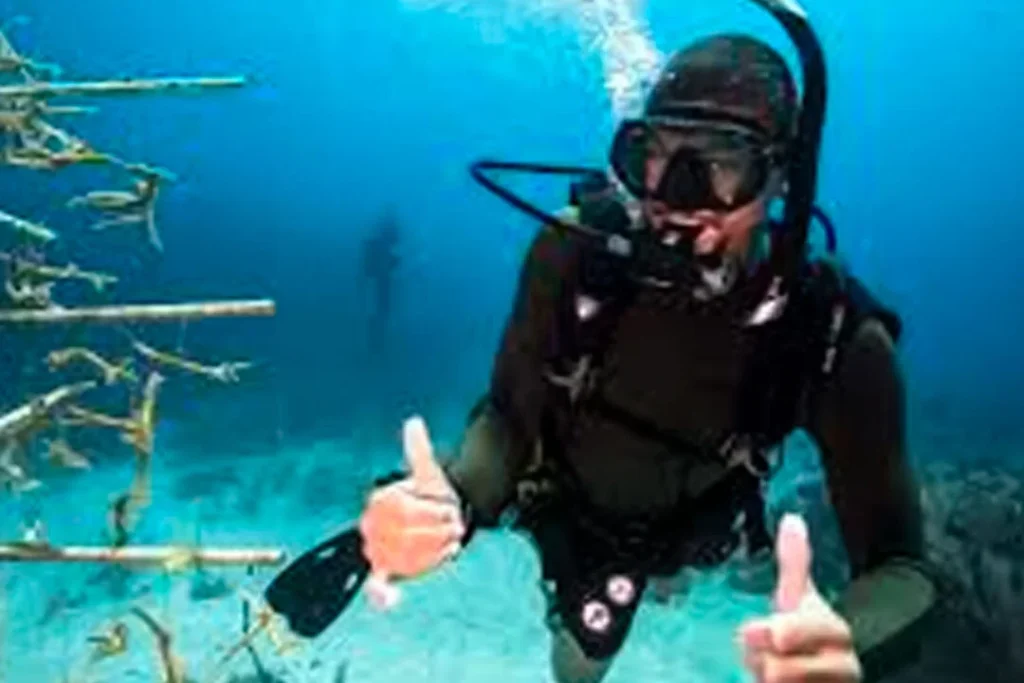 001 SEYMOUR 1080x720 1