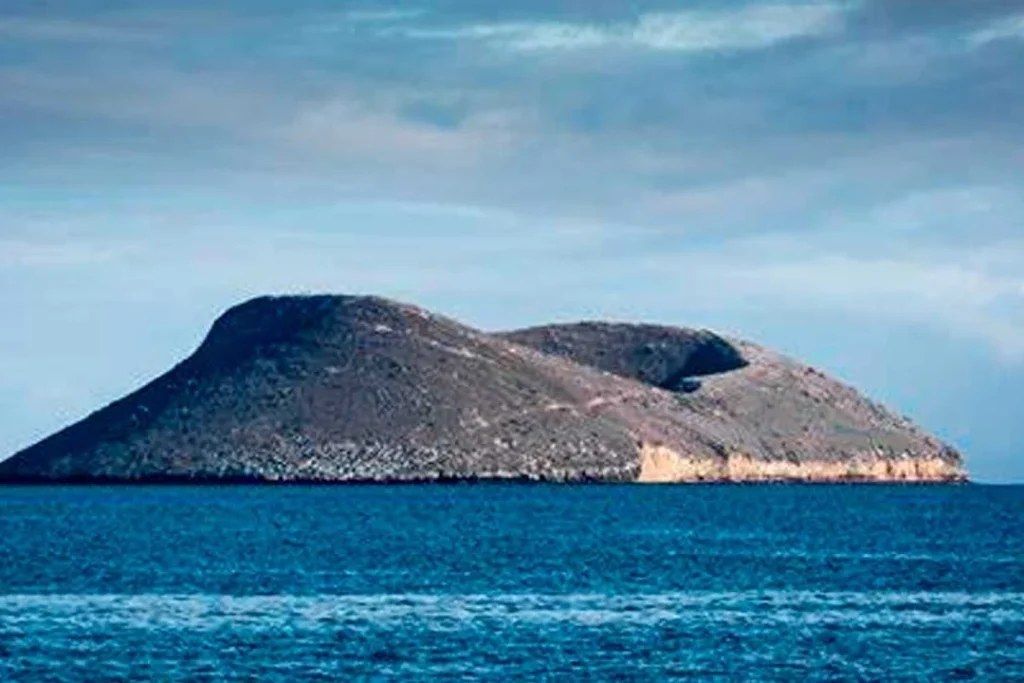 01 DAPHNE 1080x720 1