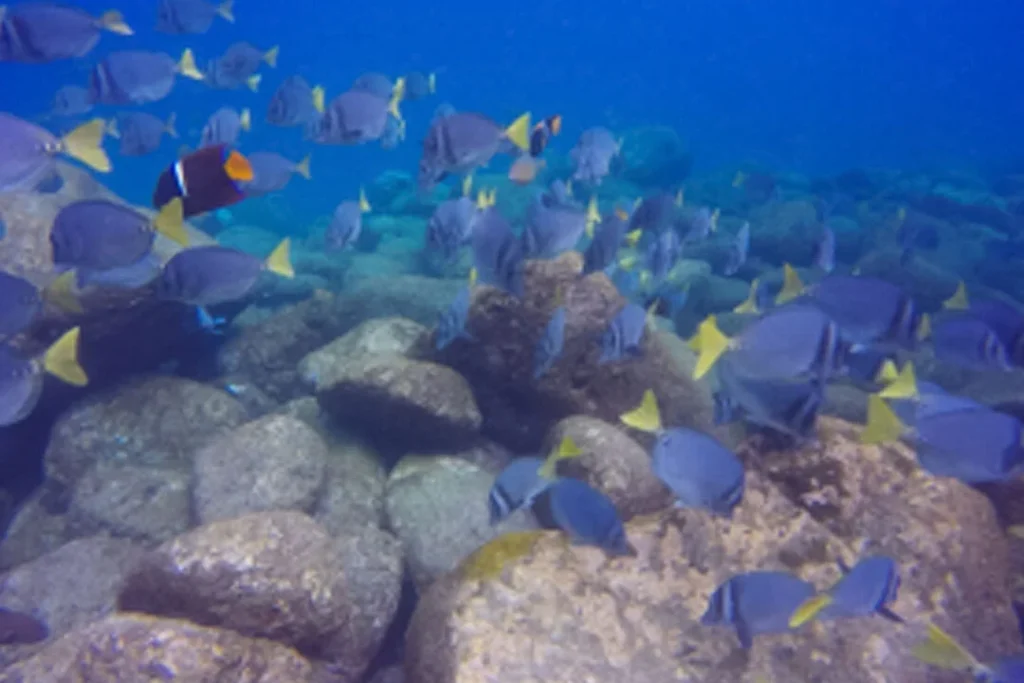 01 SANTA FE 1080x720 1