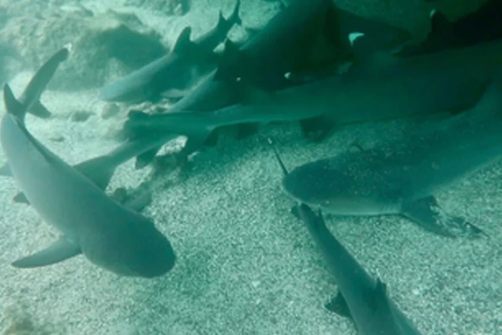 01 TUNELES ISAB 1080x720 1 1