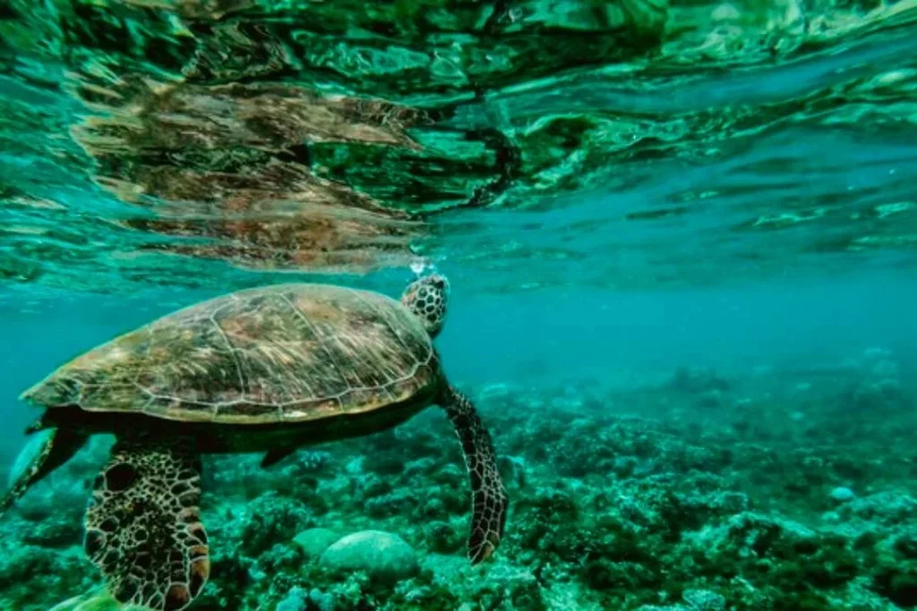 02 TOUR ESPANOLA 1080x720 1