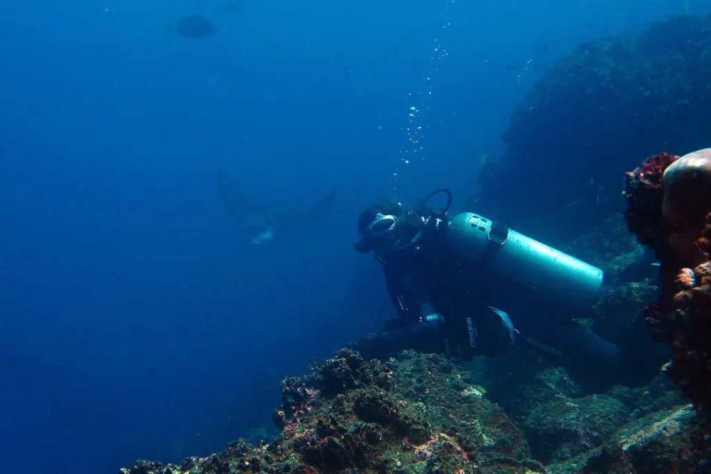 03 Buceo SeymourMosquera 1