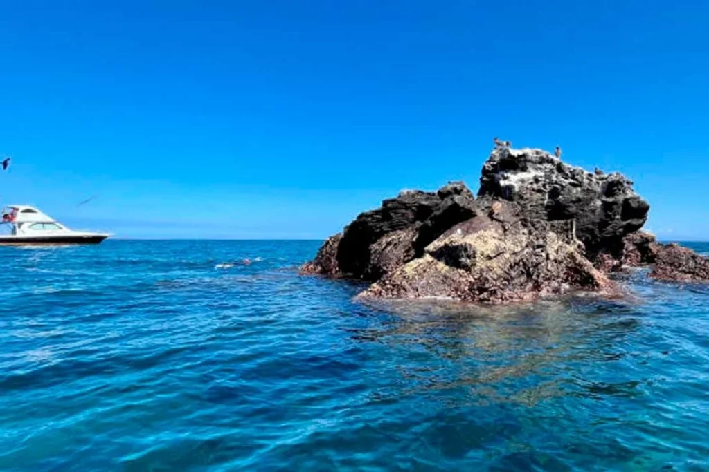 03 DAPHNE 1080x720 1