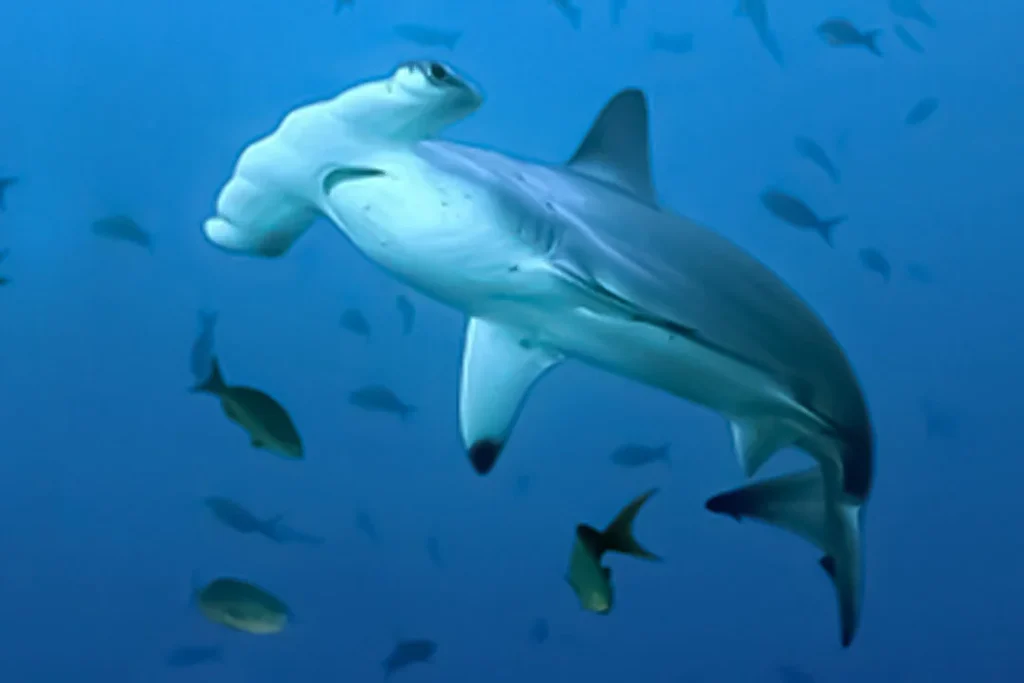 03 TOUR 360 1080x720 1