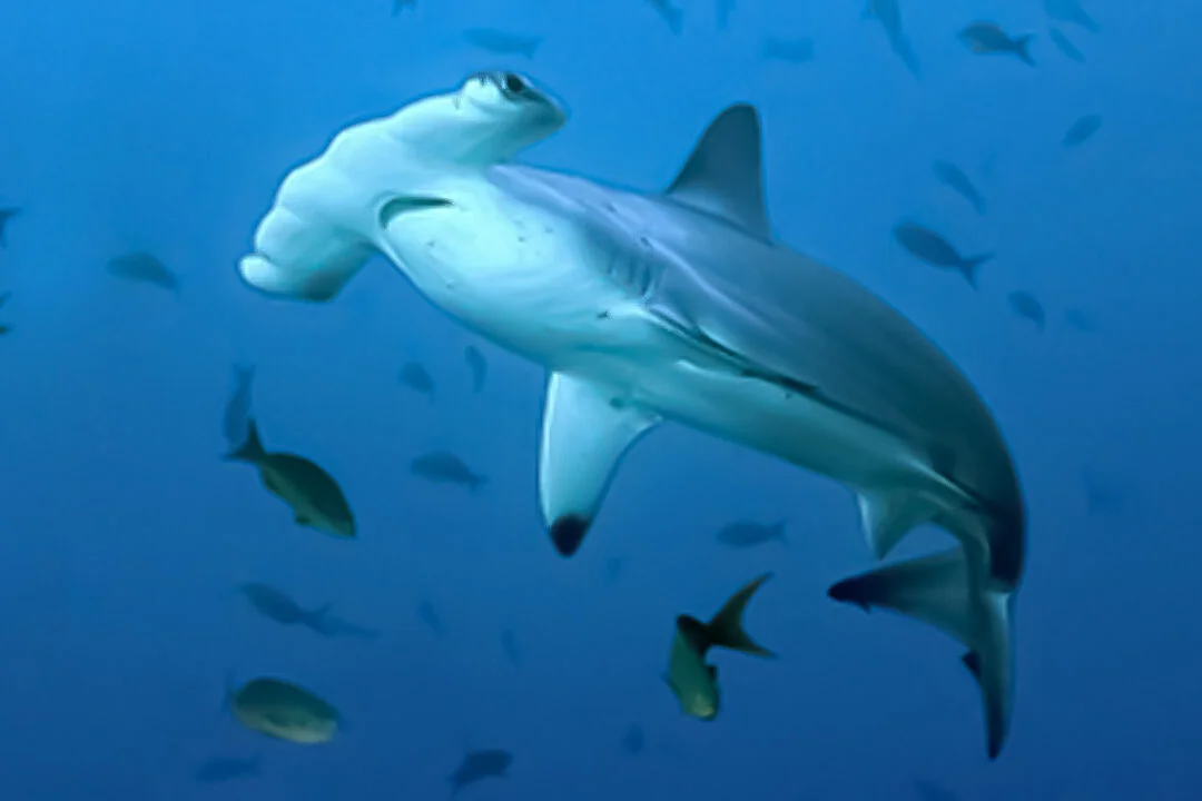 03 TOUR 360 1080x720 1