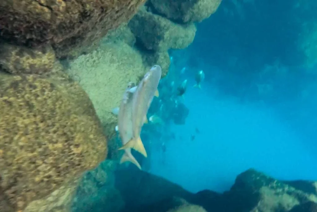 03 TOUR BAHIA 1080x720 1