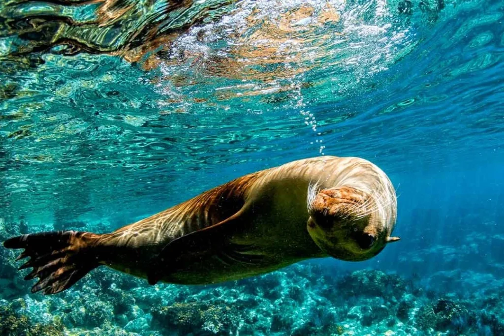 04 TOUR 360 1080x720 1