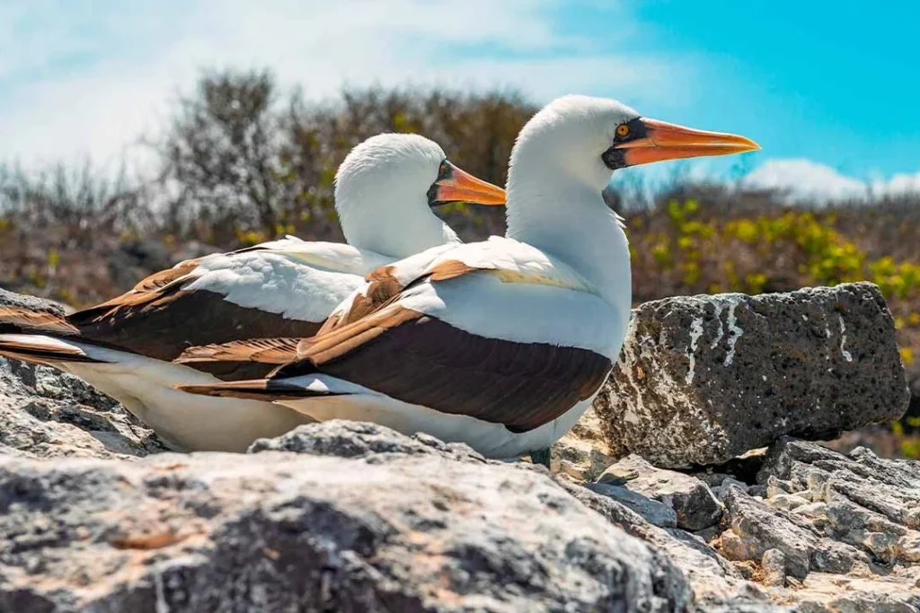 05 TOUR ESPANOLA 1080x720 1