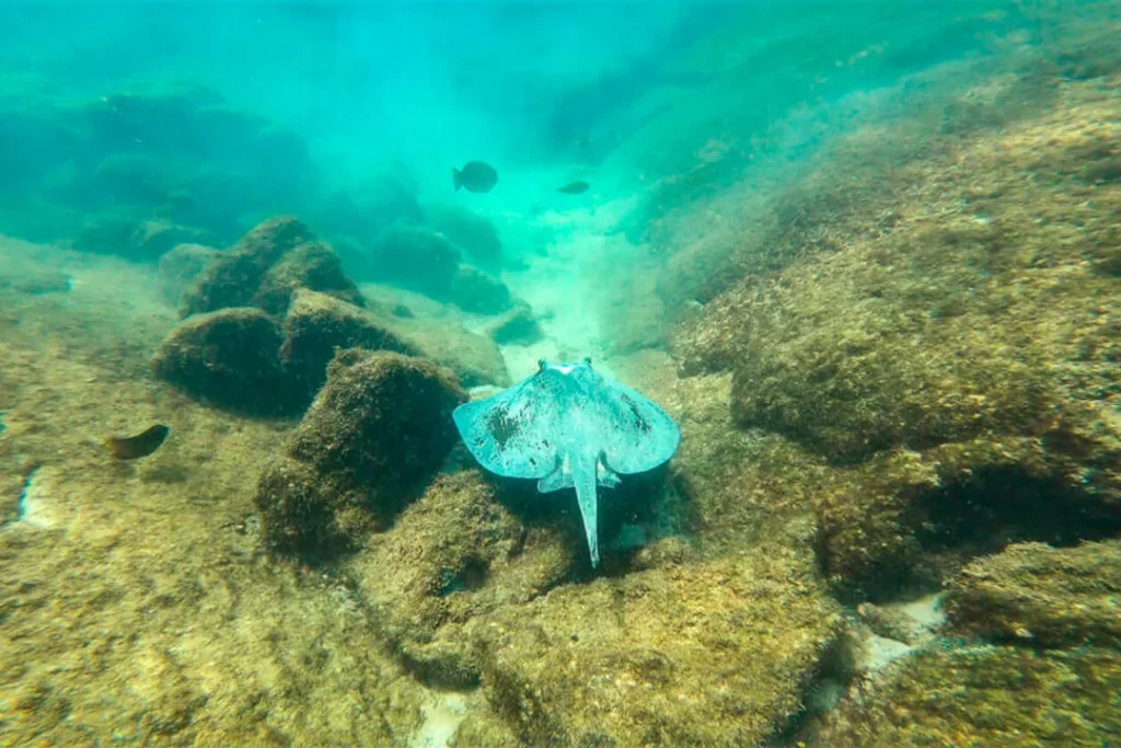 05 TUNELES ISAB 1080x720 1