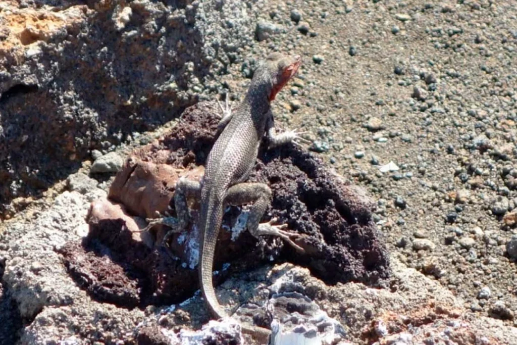 BARTOLOME 1 1080x720 1