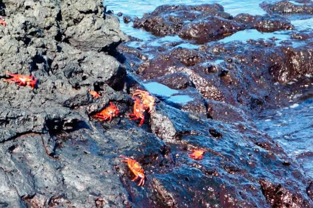 BARTOLOME 2 1080x720 1