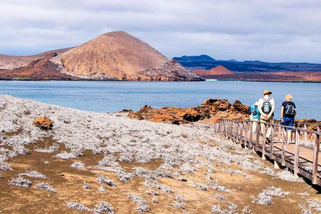 BARTOLOME 7 1080x720 1