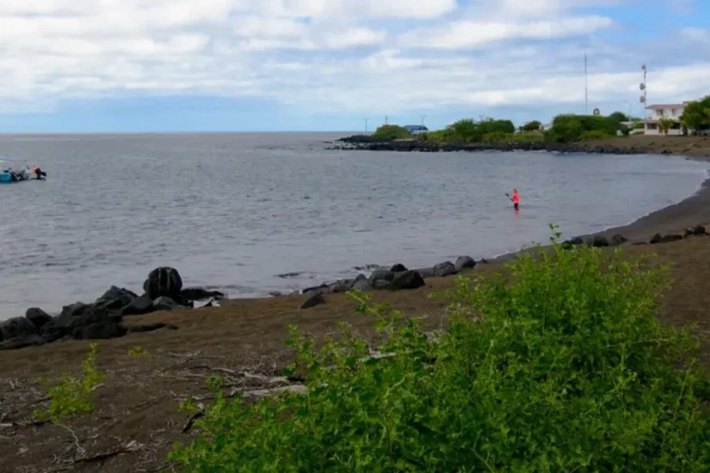 FLOREANA PA 2 1080x720 1