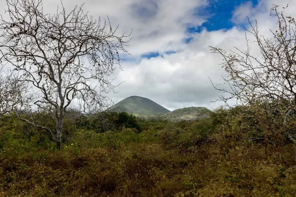 FLOREANA PA 7 1080x720 1