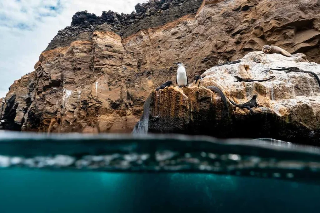 ISABELA 8 1080x720 1