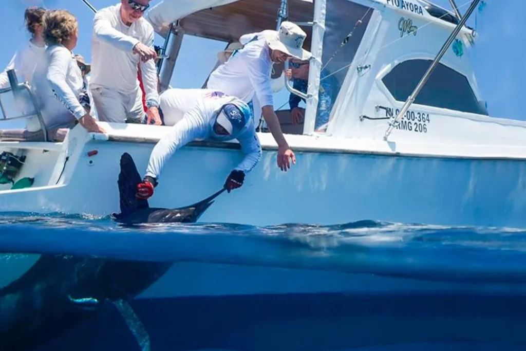 PESCA M 2 1080x720 1