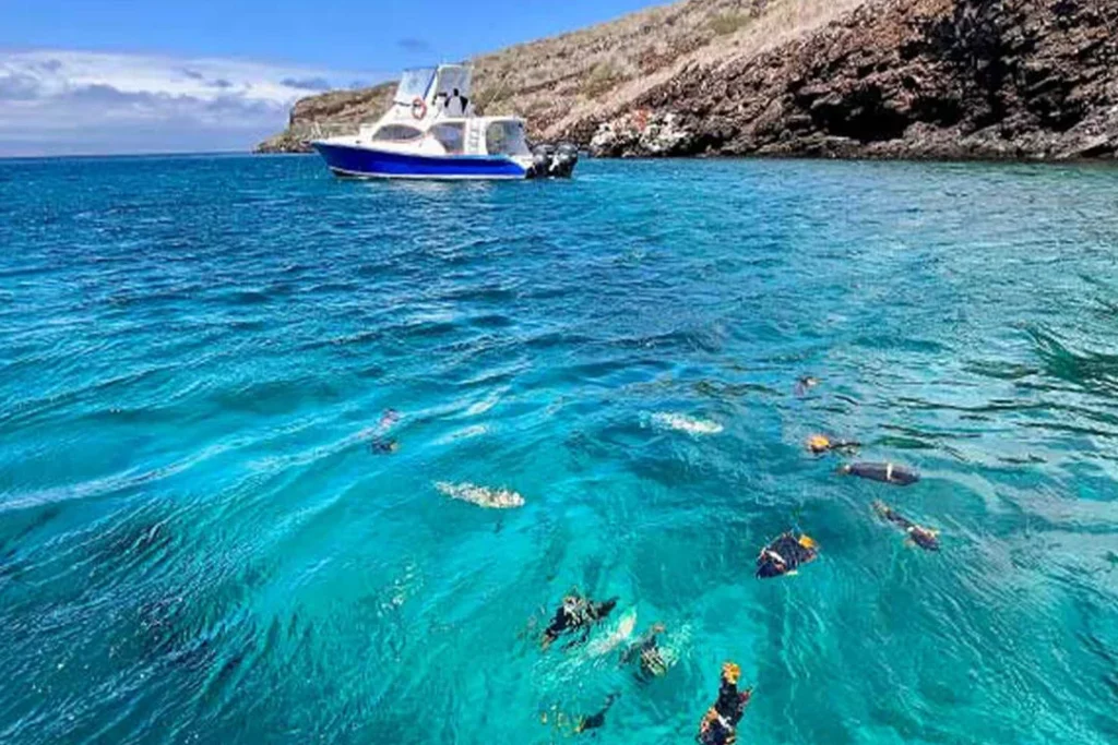 PINZON 2 1080x720 1 1