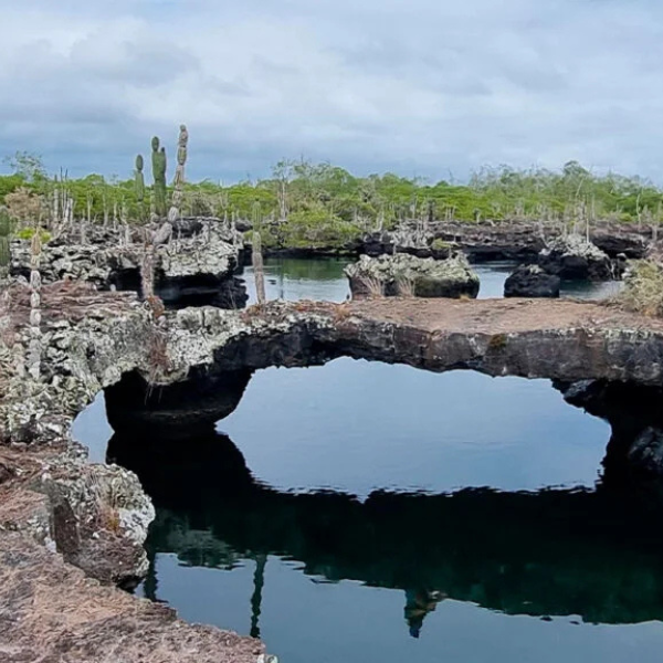 Tour Tuneles Marinos