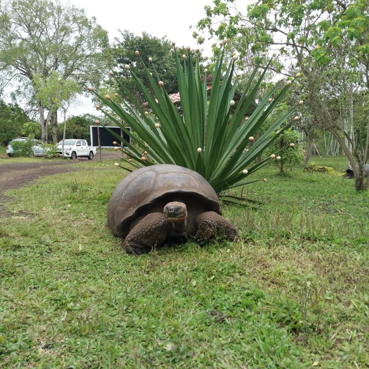 WhatsApp Image 2025 11 21 at 10.43.17 73775627