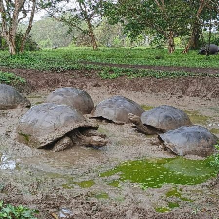 WhatsApp Image 2025-11-21 at 10.43.16_4bde609b