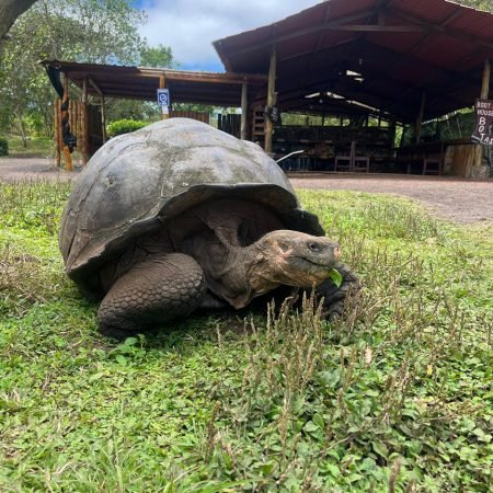 WhatsApp Image 2025-11-21 at 10.43.23_4ffbdae9