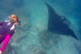 WhatsApp Image 2025-11-30 at 11.55.11_24fe822c