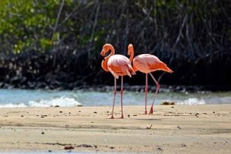 WhatsApp Image 2025-11-30 at 12.10.33_98dc6179