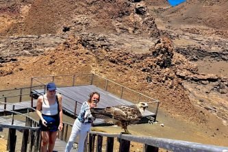 WhatsApp Image 2025-11-30 at 12.17.04_48656cda