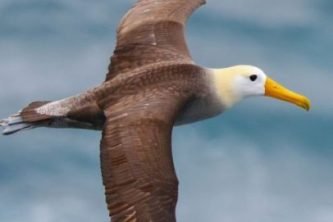 WhatsApp Image 2025-11-30 at 12.50.30_e9298426