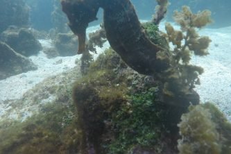 WhatsApp Image 2025-11-30 at 12.56.49_dcc0fe58