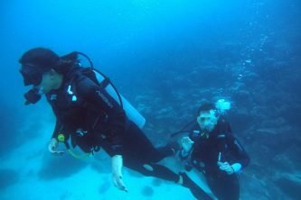 WhatsApp Image 2025-11-30 at 13.19.52_c5b77426