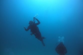 WhatsApp Image 2025-11-30 at 13.22.39_fb17bb53